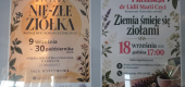 Słuchacze MSP w&nbsp;Miejskiej Bibliotece Publicznej na&nbsp;wystawie „Nie-złe ziółka”